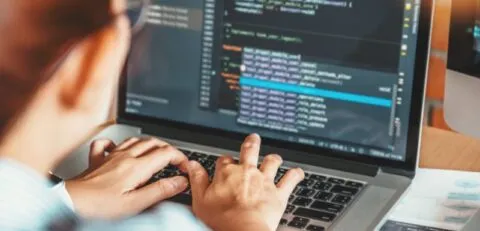 Website Developmnt Website Developmnt